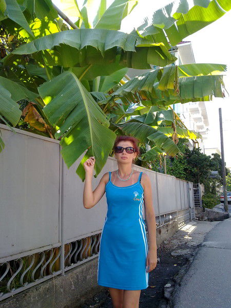 Елена Зотова