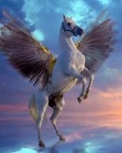 Павел Паначёв