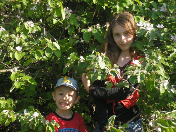 Виталий Шевченко