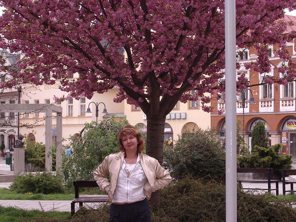 Елена Козина