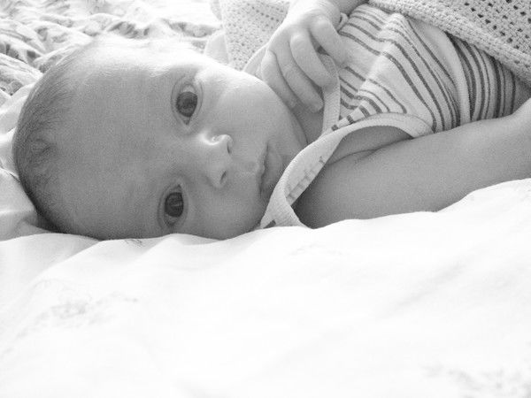 Андрей Пичушкин