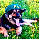 Элдар Калиев