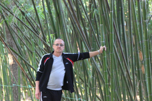 Владимир Сорокин