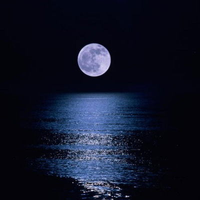 Рустам Салпагаров