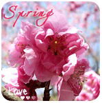 Светлана Попова