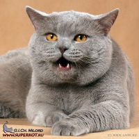 Остап Гагарин