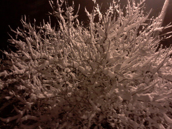 Константин Авраменко