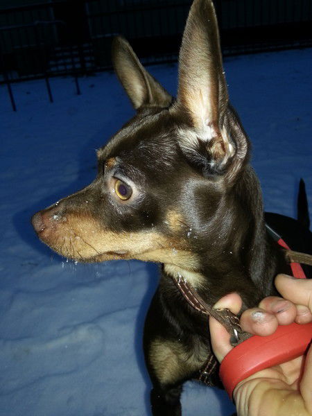 Николай Суховеев