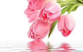 Ольга Голикова