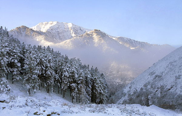 Руслан Шамсутдинов