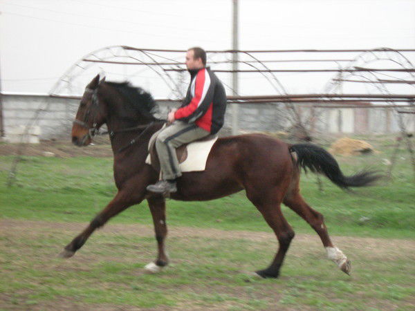 Валик Сорокин