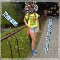 Лариса Николаева