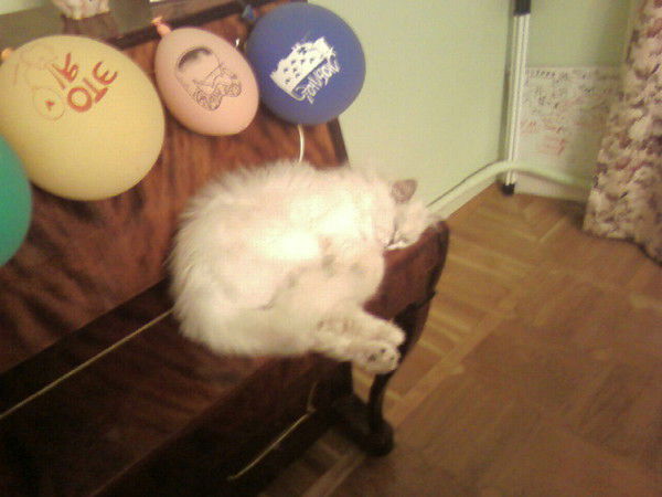 Девид Донской