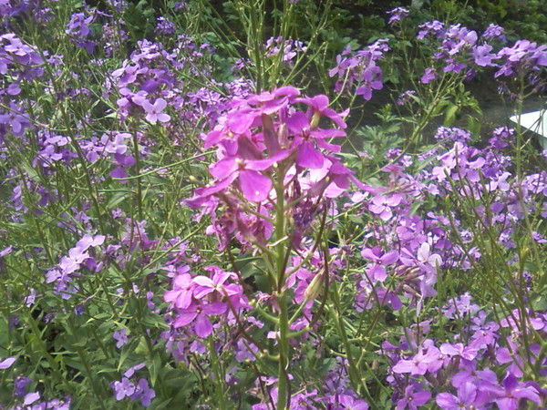 Екатерина Попова