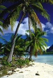 Андрей Чубаров