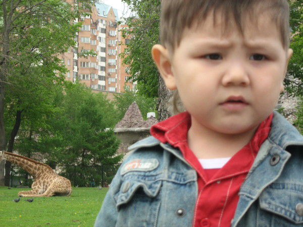 Жибек Рахматова