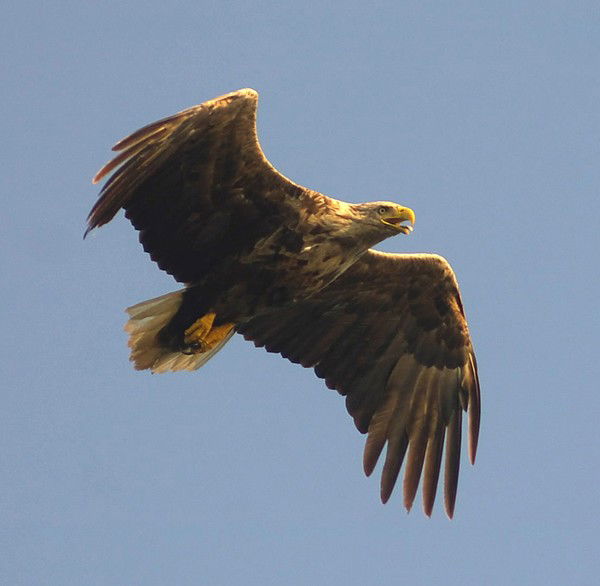 Каныбек Кутманалиевич