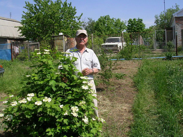 Александр Фалицкий