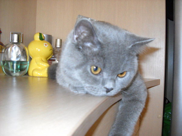 Алена Валейчик