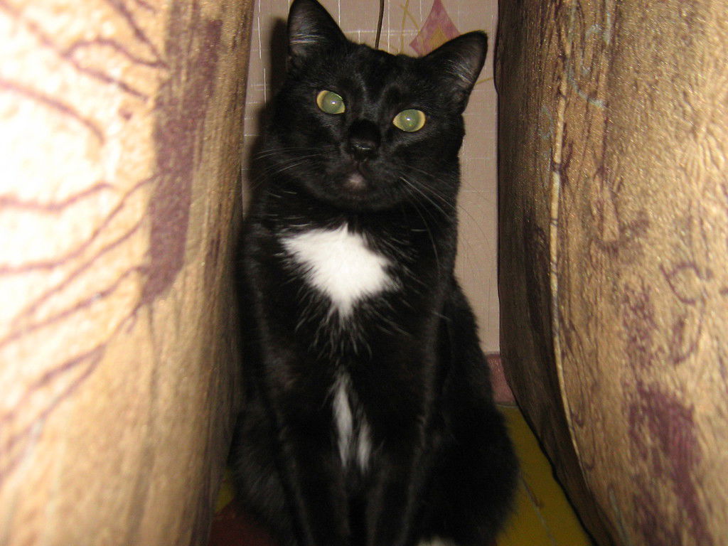 Ангелина Беспалова