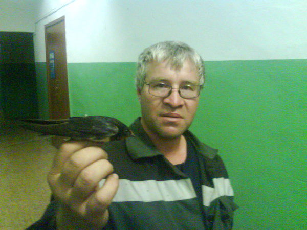 Алексей Сапегин