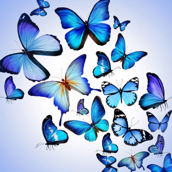 Светлана Циркунова