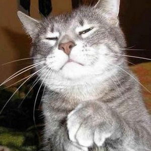 Люба Хрыкова