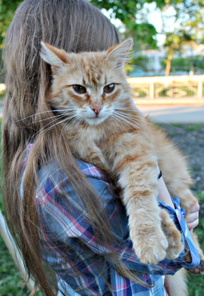 Анастасия Крайнова