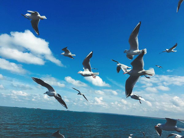 Olgavladi Artamonova