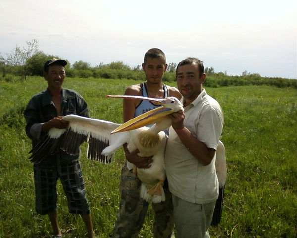 Тимур Нугманов