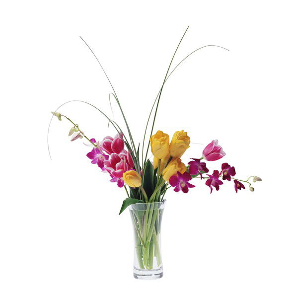 Светлана Полякова