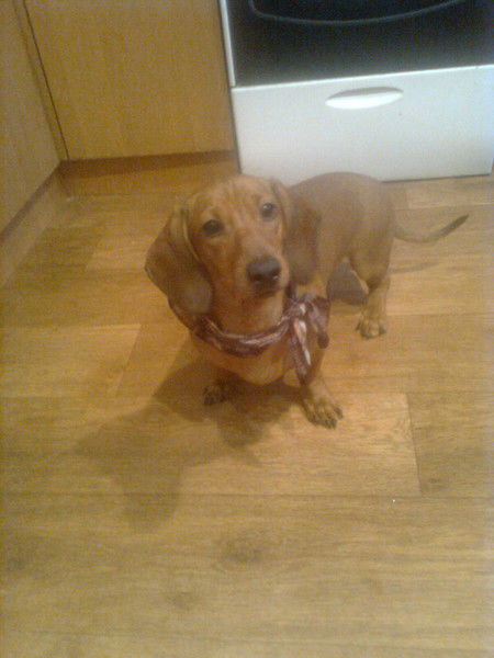 Татьяна Казубек