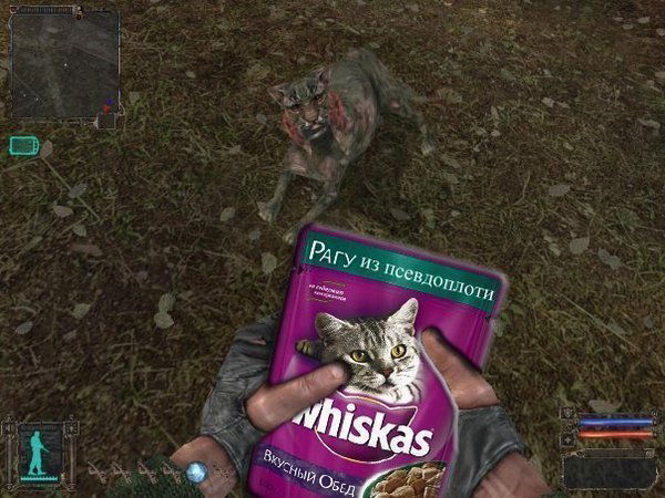 Дима Большаков