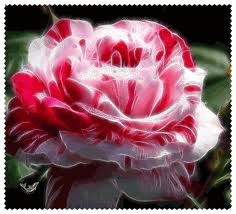 Татьяна Комова