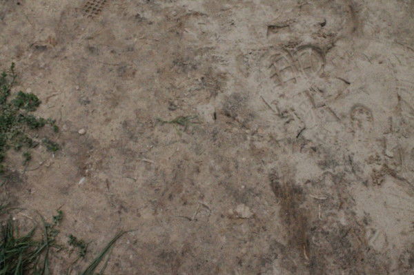 Сергей Перьев