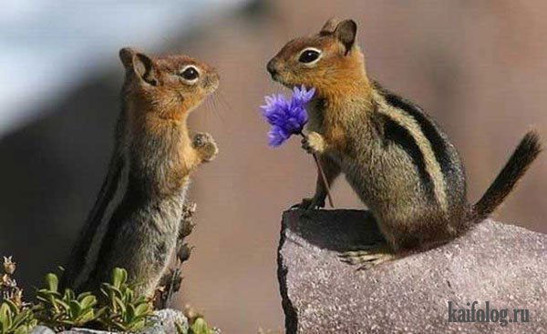 Ольга Шкляева