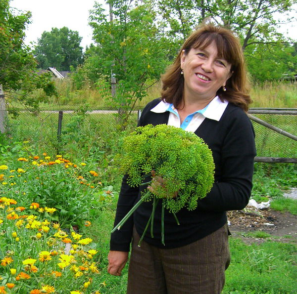 Алла Шкурко