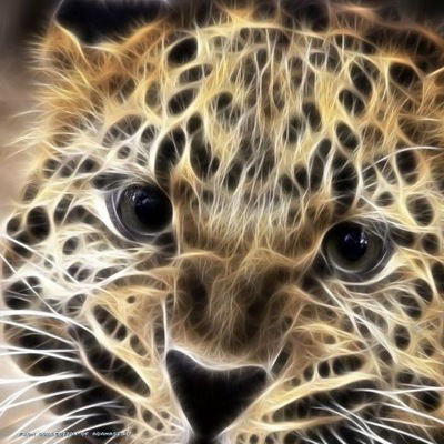 Вероника Петрова