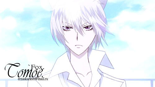 `fox. Tomoe.