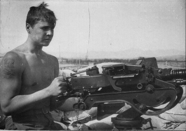 Владимир Торгашев