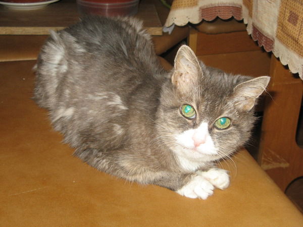 Александр Стукалов