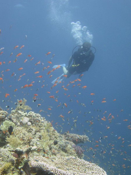 Михаил Валерьевич