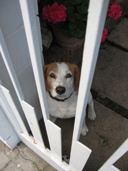 Владимир Сергеев