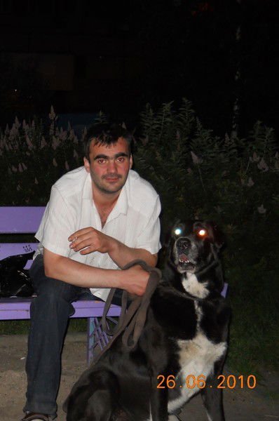 Дмитрий Сологуб