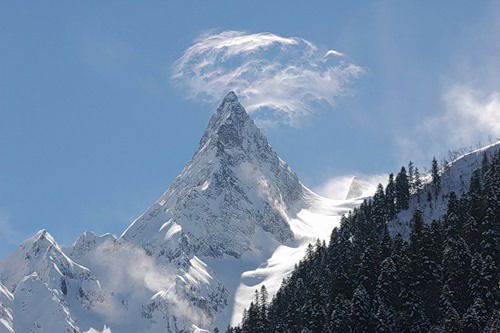 Горелов Александр