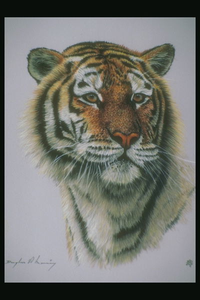 Владимир Горб