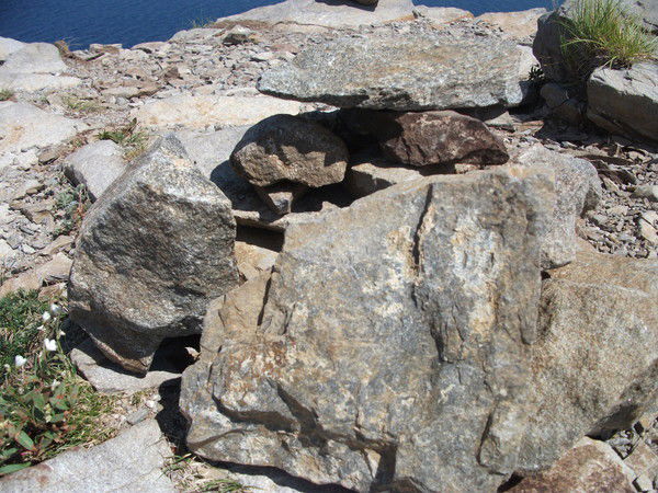 Номогоева Елена