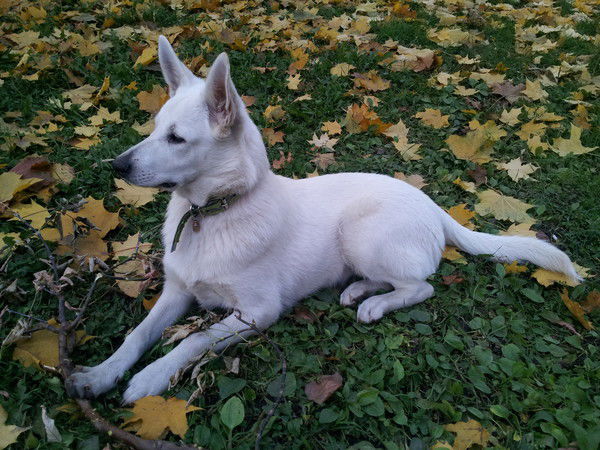 Ирина Моисеева