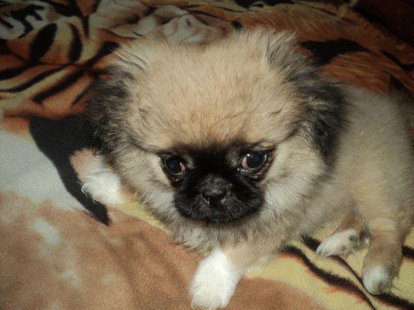 Владислав *****