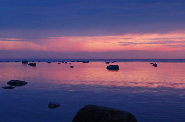 Каминский Роман